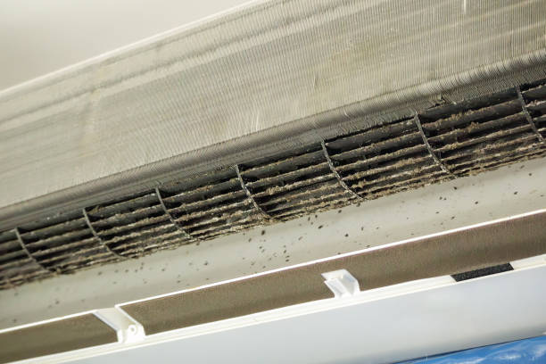 Best Commercial Air Duct Cleaning in Thornport, OH